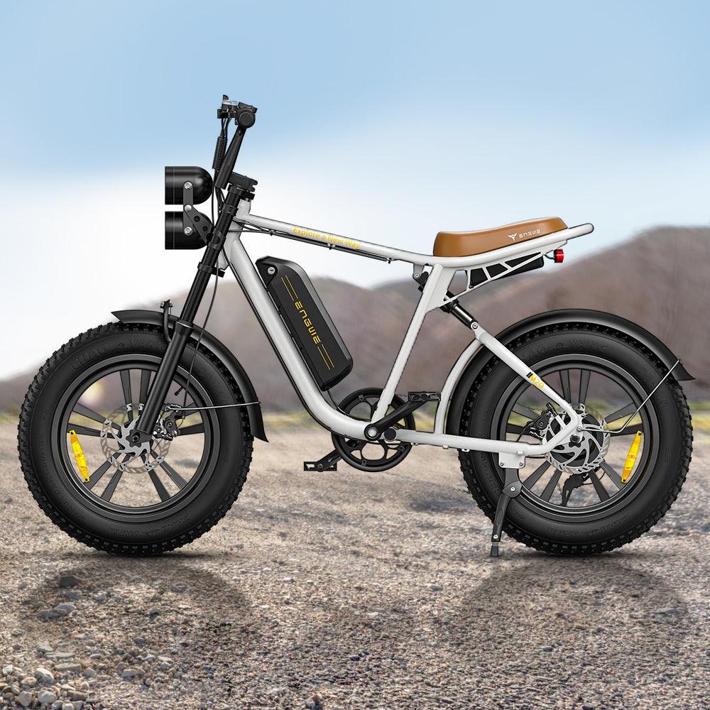 Engwe M20 750W Fat Bike E-Mountain Bike with Dual Batteries 28Mph 93Miles