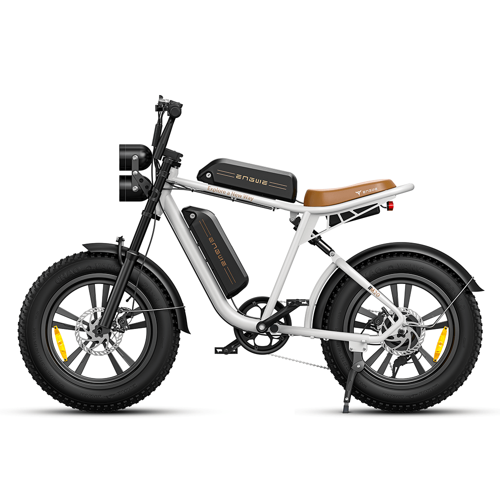 Engwe M20 750W Fat Bike E-Mountain Bike with Dual Batteries 28Mph 93Miles