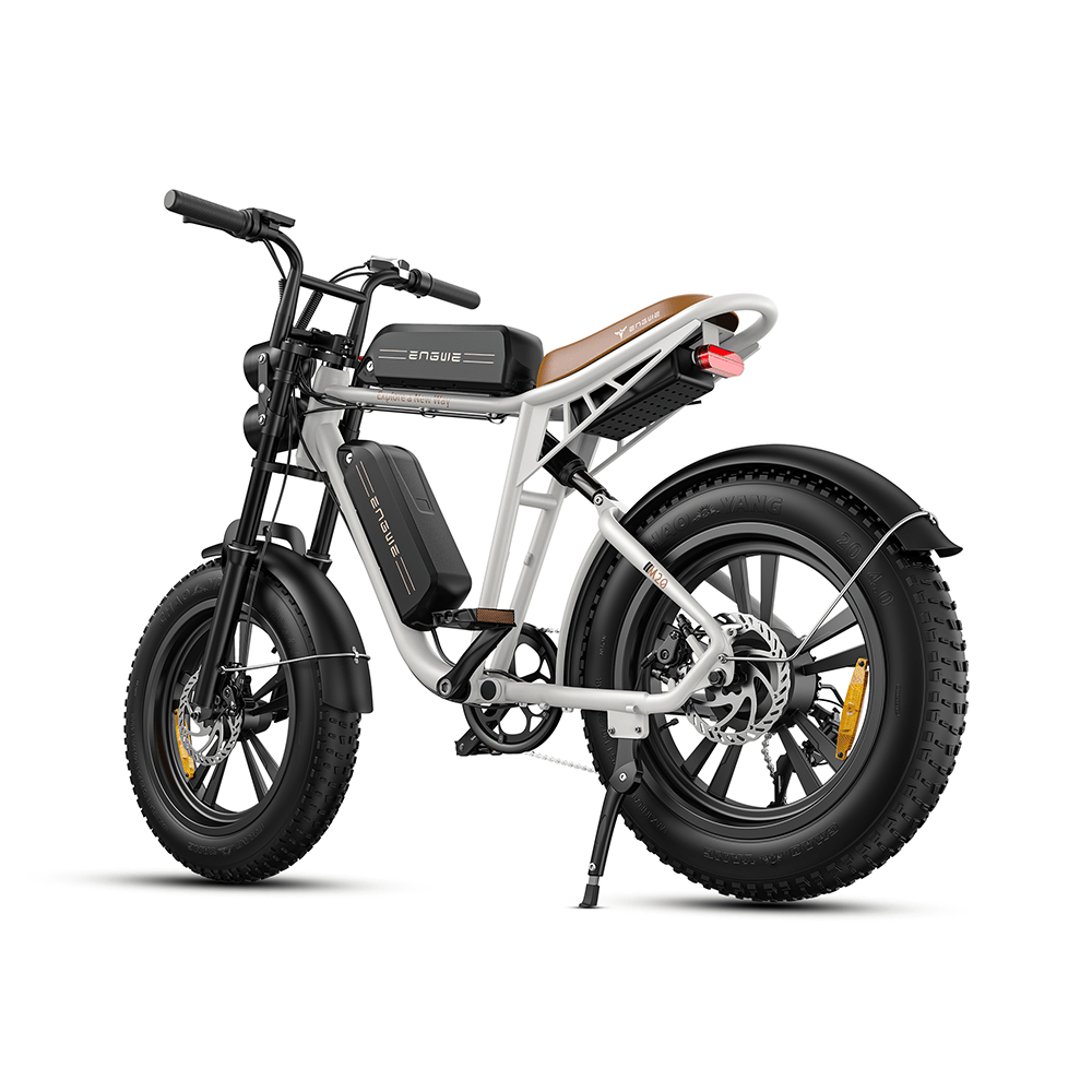 Engwe M20 750W Fat Bike E-Mountain Bike with Dual Batteries 28Mph 93Miles