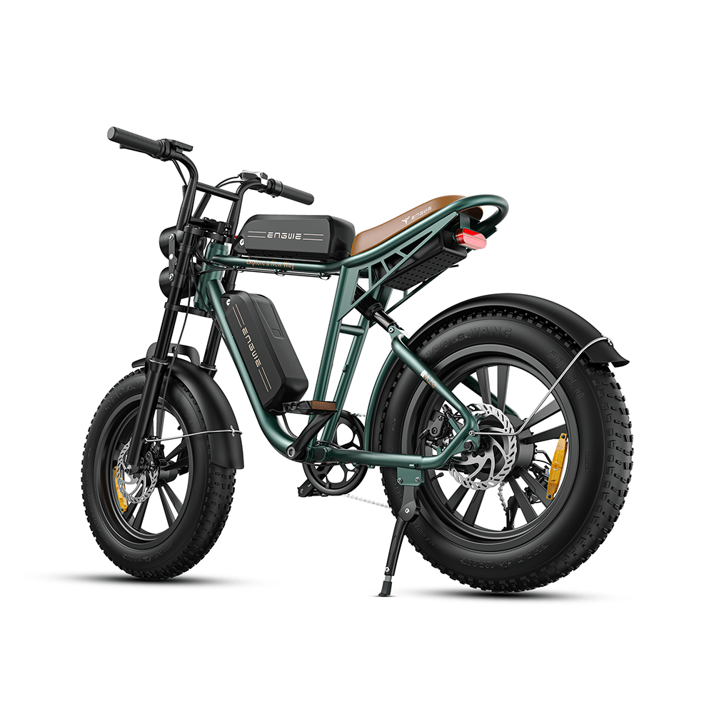 Engwe M20 750W Fat Bike E-Mountain Bike with Dual Batteries 28Mph 93Miles