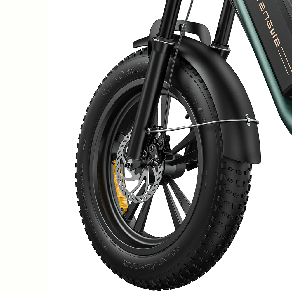 Engwe M20 750W Fat Bike E-Mountain Bike with Dual Batteries 28Mph 93Miles
