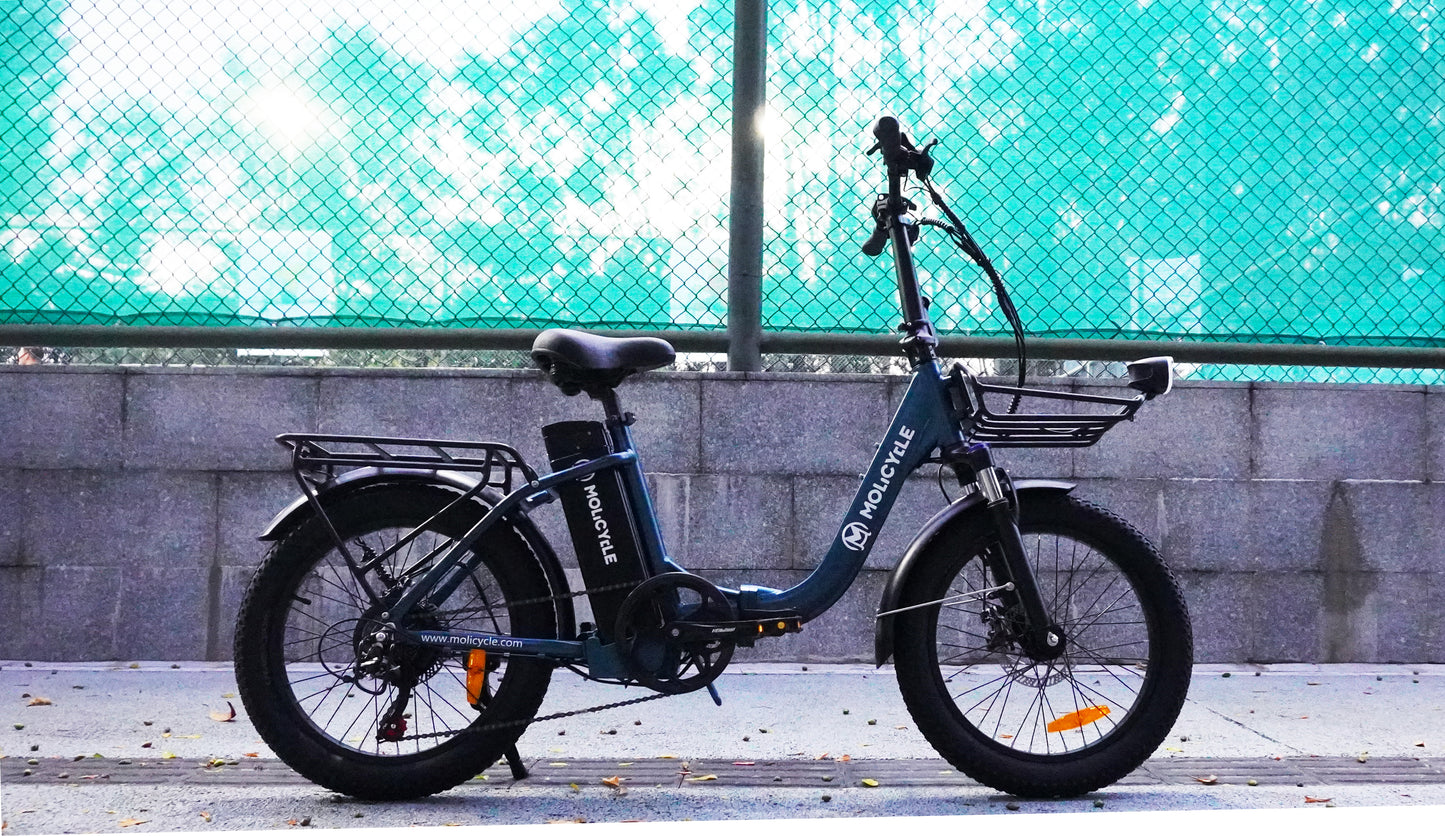 Molicycle ERA 500W 20" Foldable Electric Bike Commuter E-bike 48V 15Ah Battery 22Mph 46.6Miles