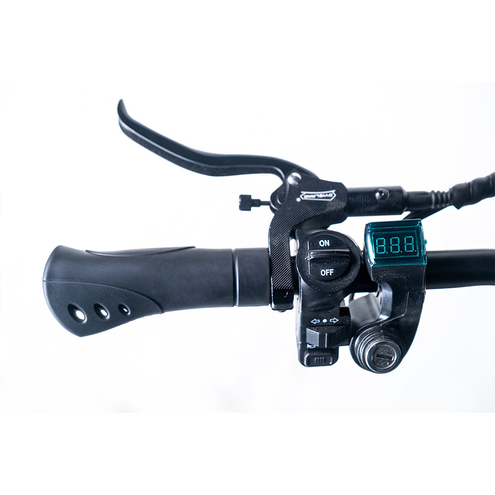 OBARTER D5 12" 2500W*2 Dual Motor Off-road Electric Scooter 48V 35Ah 43Mph 75Miles