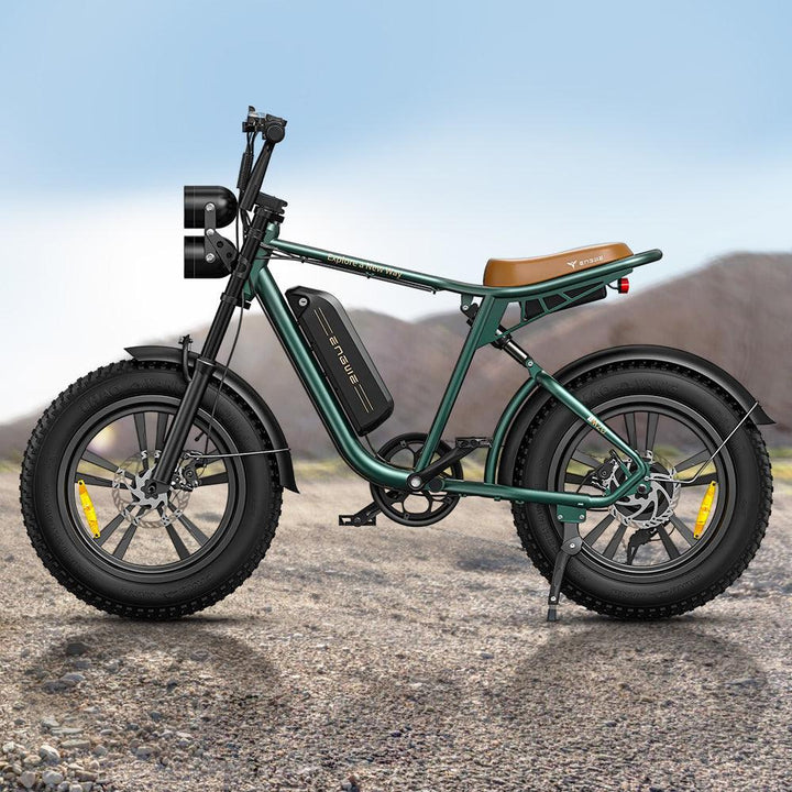 Engwe M20 750W Fat Bike E-Mountain Bike with Dual Batteries 28Mph 93Miles