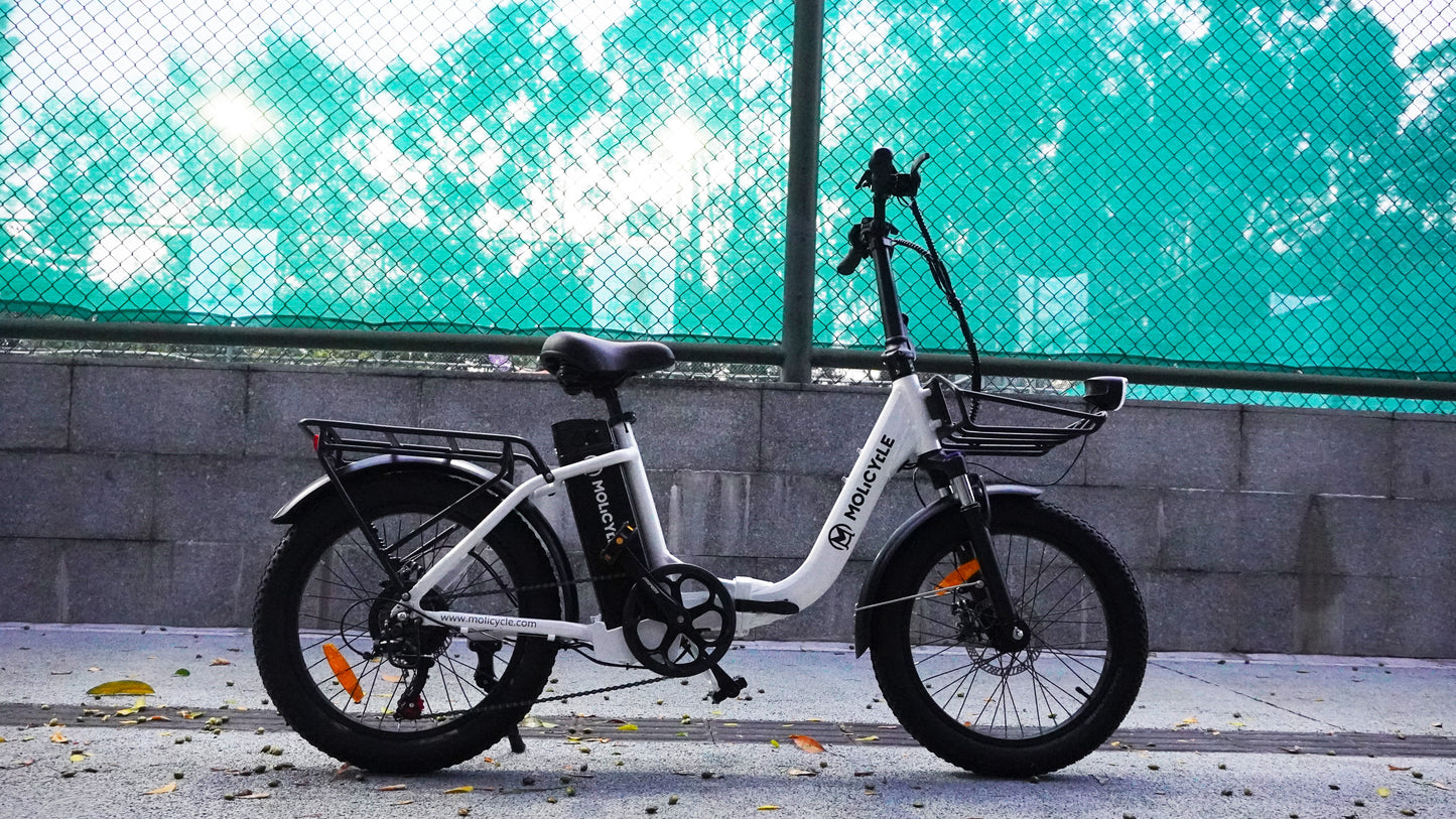 Molicycle ERA 500W 20" Foldable Electric Bike Commuter E-bike 48V 15Ah Battery 22Mph 46.6Miles