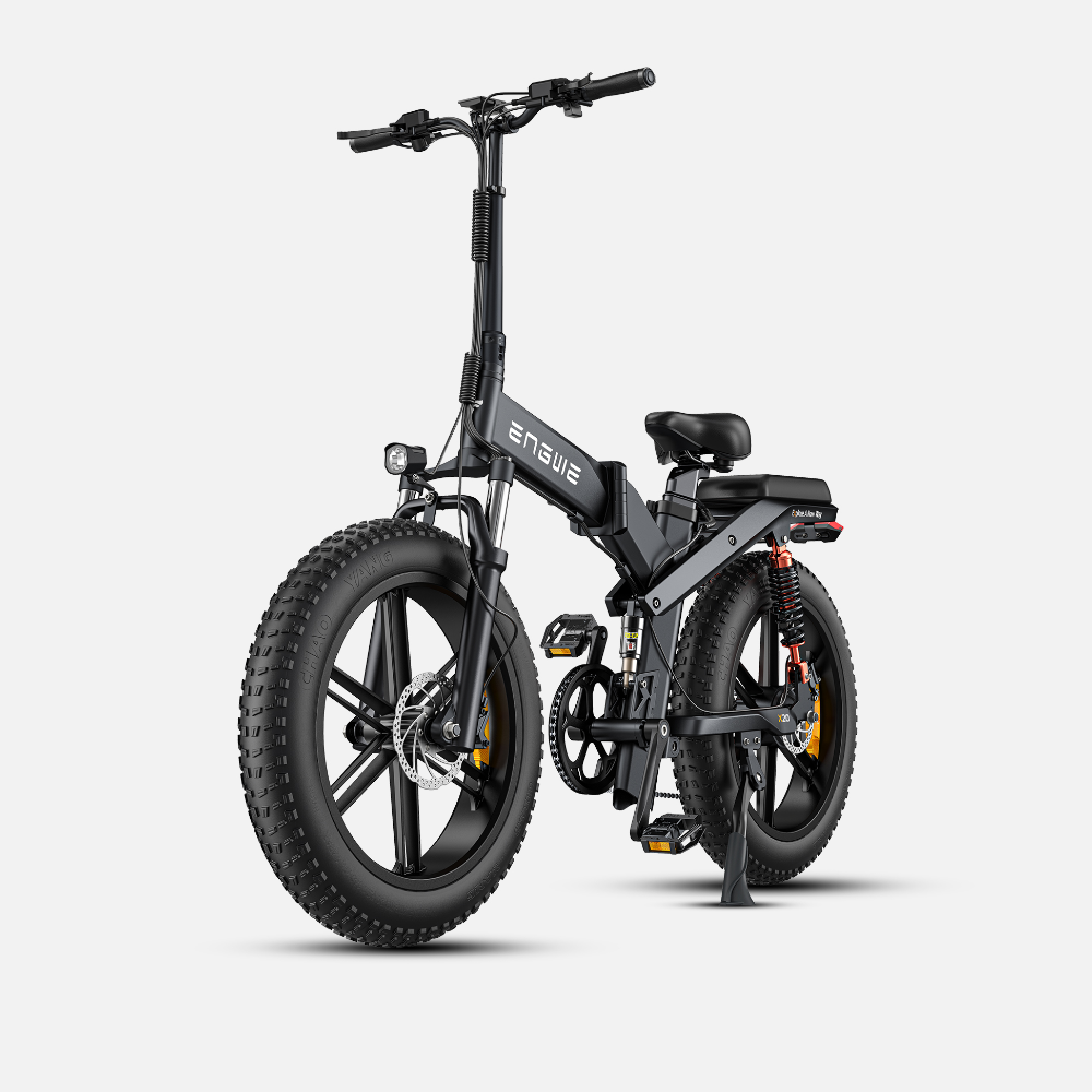 Engwe X20 750W Fat Bike Foldable Electric Commuting Bike with Dual Batteries