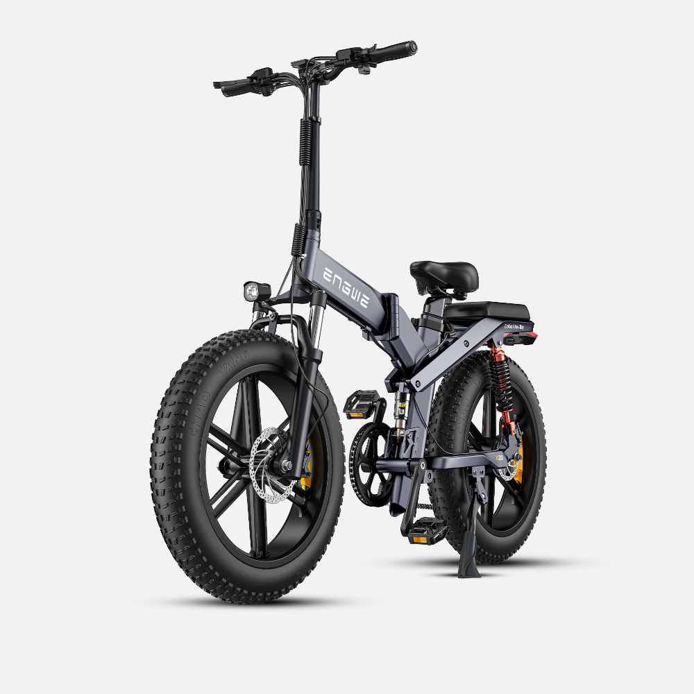 Engwe X20 750W Fat Bike Foldable Electric Commuting Bike with Dual Batteries