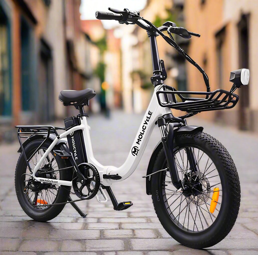 Molicycle ERA 500W 20" Foldable Electric Bike Commuter E-bike 48V 15Ah Battery 22Mph 46.6Miles